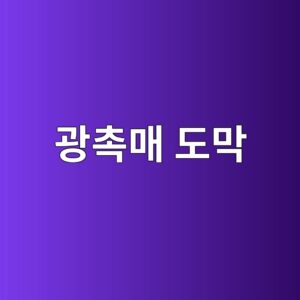 광촉매 도막의 산화반응과 자정 성능 1 eab491ecb489eba7a4 eb8f84eba789 1787143880